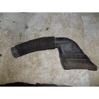 Воздухозаборник (наружный) RENAULT Megane II 2002-2009 8200177232