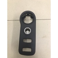 Накладка (кузов внутри) RENAULT Duster 2012> 251630024R
