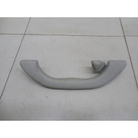 Ручка внутренняя потолочная VW Passat [B5] 1996-2000 8D0857607AY20