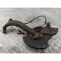 Кулак (корпус ступицы) передний правый Volkswagen Passat B5+ (GP) 2002 8D0407254C