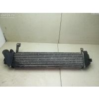 Радиатор интеркулера Renault Kangoo I (1998-2008) 2007 8200732384