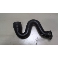 Патрубок интеркулера Volkswagen Passat 5 2000-2005 2003 8D0145828L