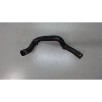 Патрубок охлаждения Ford Transit 2006- 2006 1371293