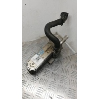 охладитель EGR / Радиатор EGR Volkswagen Passat B6 2008 038131513