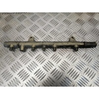 Топливная рампа Renault Laguna 2001-2007 2003 0445214024