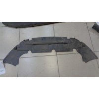 Пыльник Ford Focus 2 2008-2011 2008 г. 1521604