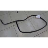Уплотнитель проема двери передний Ford Focus 2 2008-2011 2008 г. 1534918