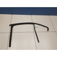 Уплотнитель стекла двери задний левый Skoda Octavia A7 2013-2020 5E5839431C5AP