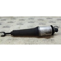 амортизатор пневматический Audi A8 [D3 4E] 2004-2010 2004 4E0616040AF