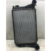 Радиатор интеркулера Skoda Octavia mk2 (A5) 2007 1K0145803T