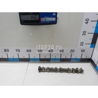 Распредвал впускной Nissan Teana J32 (2008 - 2013) 13020JK00A