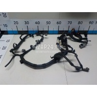 Проводка (коса) GM Corsa C (2000 - 2006) 24461065