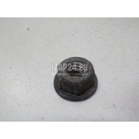 Гайка GM Corsa C (2000 - 2006) 11088993