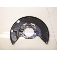 Пыльник тормозного диска GM Zafira C (2013 - 2019) 543023