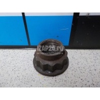 Гайка передней ступицы Toyota xA (2004 - 2006) 90177-22001