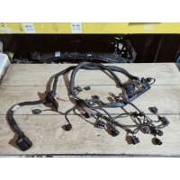 Проводка двигателя Volkswagen Golf 6 2010 03C972619BK