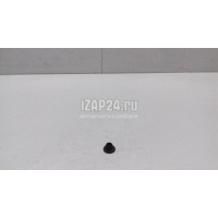 Кольцо уплотнительное (сопутств. товары) VAG Rapid (2013 - ) 443955465