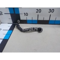 Трубка картерных газов VAG Rapid (2013 - ) 03L103493AE