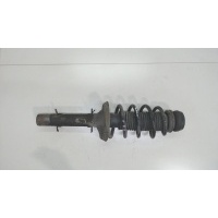 Амортизатор подвески перед. левая=правая Volkswagen Beetle 1998-2010 1998 1J0413031BJ