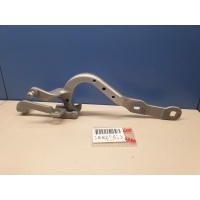 Петля двери багажника правая BMW X4 G02 2018- 41007482678