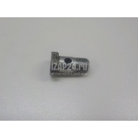Болт полый Citroen-Peugeot C-Crosser (2008 - 2013) 4010e9