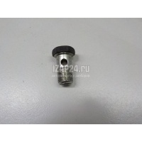 Болт полый Citroen-Peugeot C-Crosser (2008 - 2013) 4010e9