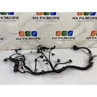 Проводка двигателя Skoda Octavia (A7) 5E 2016 04E972627EJ