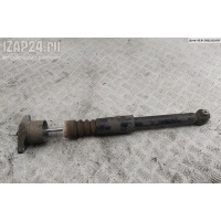 Амортизатор подвески задний левый Volkswagen Passat B5+ (GP) 2004 3B9513031N