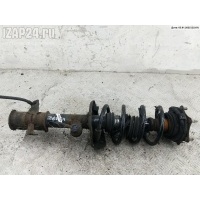 Амортизатор подвески передний правый Honda CR-V (2007-2011) 2008 51605-SWY-E03