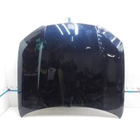 Капот BMW X6 G06 2019- 41007492375