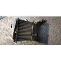 Радиатор интеркулера Smart Fortwo 2008 0002490V007