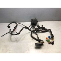 Проводка двигателя Skoda Octavia A4 2003 1J0941391C