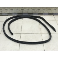 Уплотнитель двери RENAULT Duster 2012> 808321867R