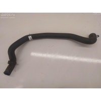 Патрубок Volkswagen Bora 2004 1J0121096BL