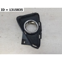 Накладка птф левая Toyota RAV4 IV (CA40) Рест. (2015) 2015 5204042070
