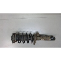 Амортизатор подвески перед. левая=правая Audi A3 (8PA) 2004-2008 2005 1T0413031DB