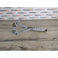 Петля капота левая LAND ROVER Freelander 2 Ленд Ровер Фрилендер 2 LAND ROVER Freelander 2 LR001565