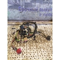 Проводка двери Audi A6C5 4B0 971 035AN