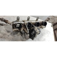Коллектор впускной Volkswagen Passat 2006 06D133209T,06D133209S,06D133209T, BLX,BLY,BLR,BVY,BVZ