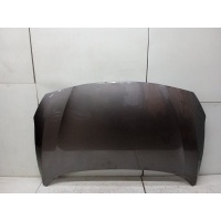 Капот Renault Fluence 2010 651002244R