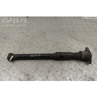 Амортизатор подвески задний левый Volkswagen Passat B5+ (GP) 2004 3B9513031N