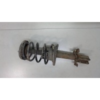 Амортизатор подвески перед. правая Renault Megane 1996-2002 2002 543021082R