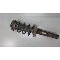 Амортизатор подвески перед. левая=правая Volkswagen Passat 6 2005-2010 2006 3C0413031AC
