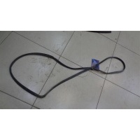 Уплотнитель двери задней левой Nissan Almera N15 1995-2000 1996 828310N800