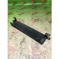 Радиатор ГУР MERCEDES M-CLASS W163 2004 A1635000202