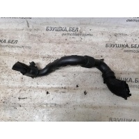 Патрубок воздушного фильтра Renault Sandero 2013 165556691R