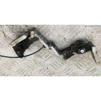 Петля двери Зад. Правая Audi A4 B8 (2007-2015) 2008 8K0831402E