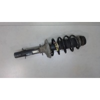 Амортизатор подвески перед. левая=правая Volkswagen Golf 4 1997-2005 2002 1J0413031CH
