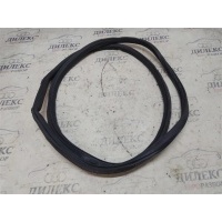 уплотнитель двери Audi Allroad quattro 2000-2005 2003 4b0831721M