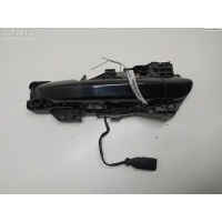Корпус (держатель) ручки двери передней левой Volkswagen Passat CC 2010 3C8839885